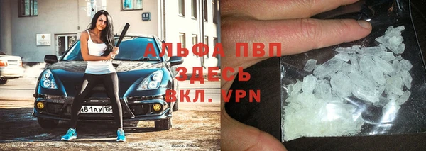 спиды Абаза